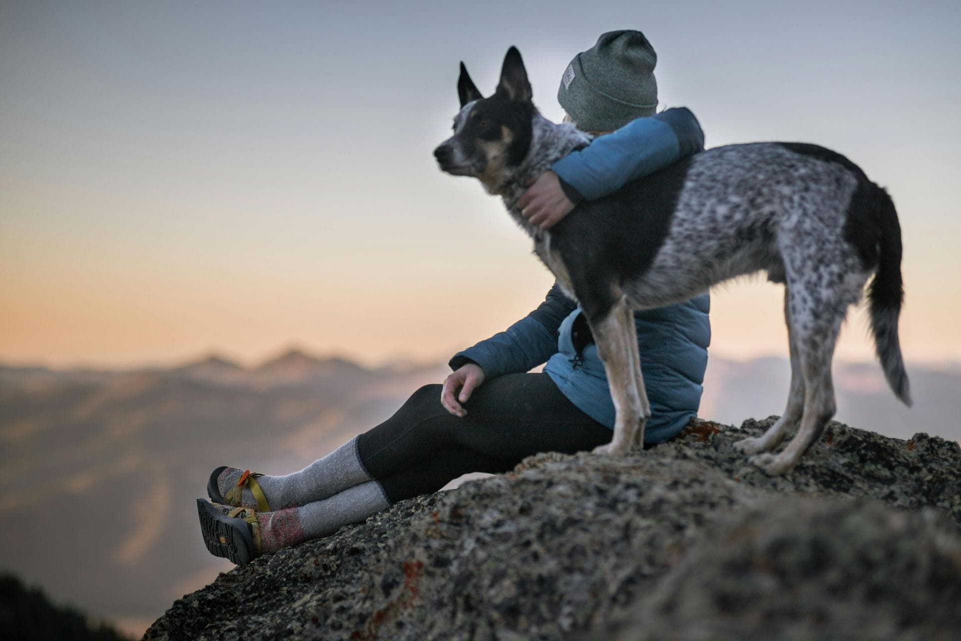 Dog & Cat Vets in Pocatello